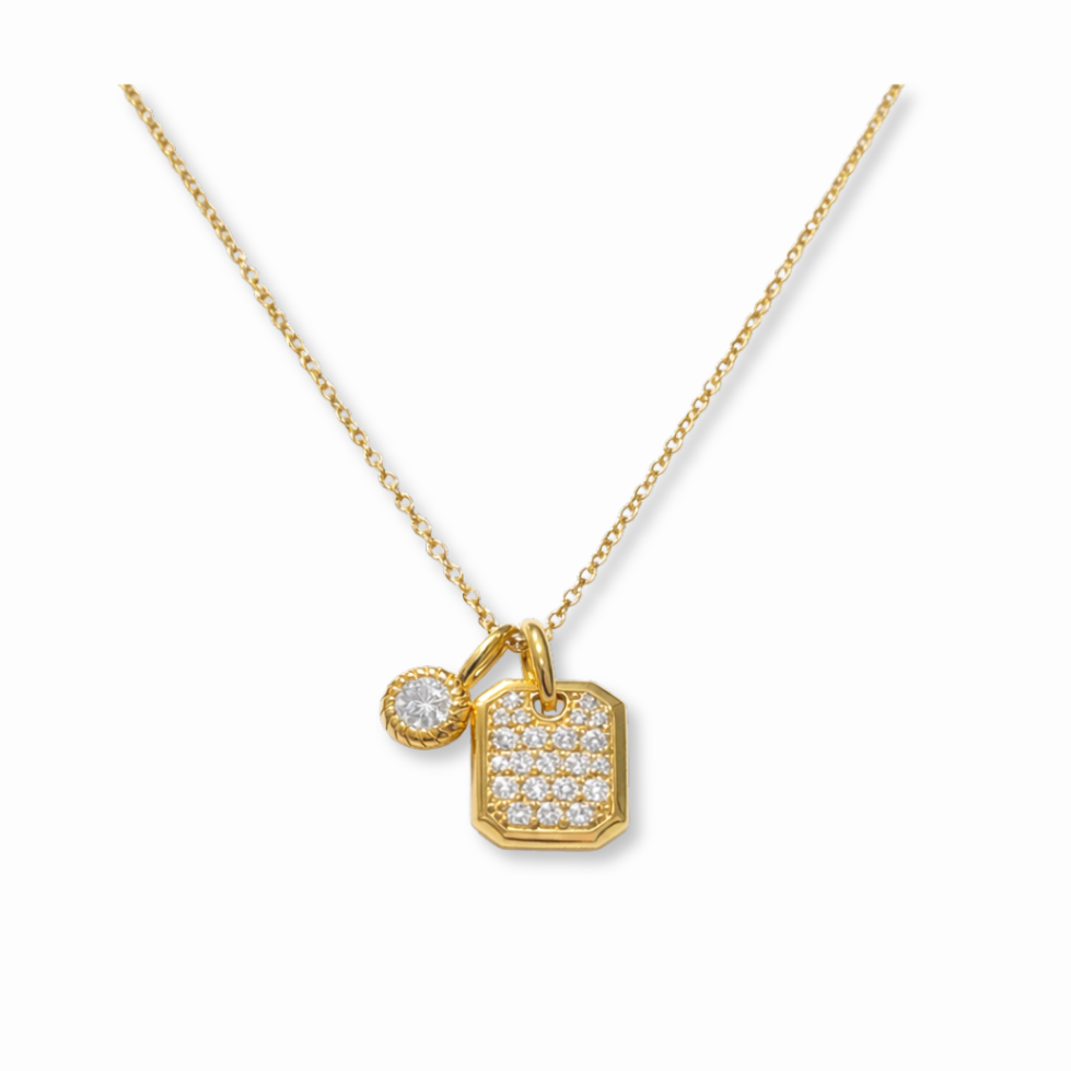 Charm Duo Necklace