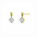 Shine Earrings