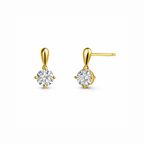 Shine Earrings