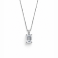 Picnic Ice Necklace